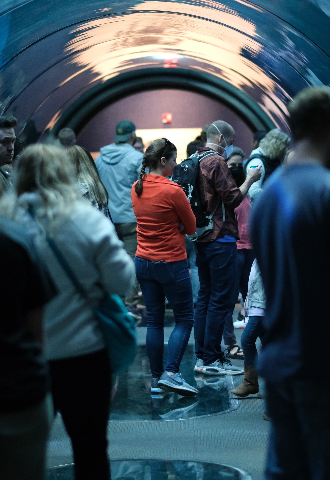 A lady in an aquarium